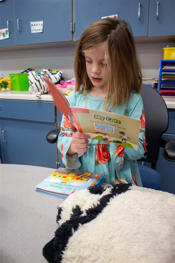girl reading a book at desk